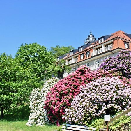 Ferienwohnung Natur Und Kunst Dresden Exteriör bild