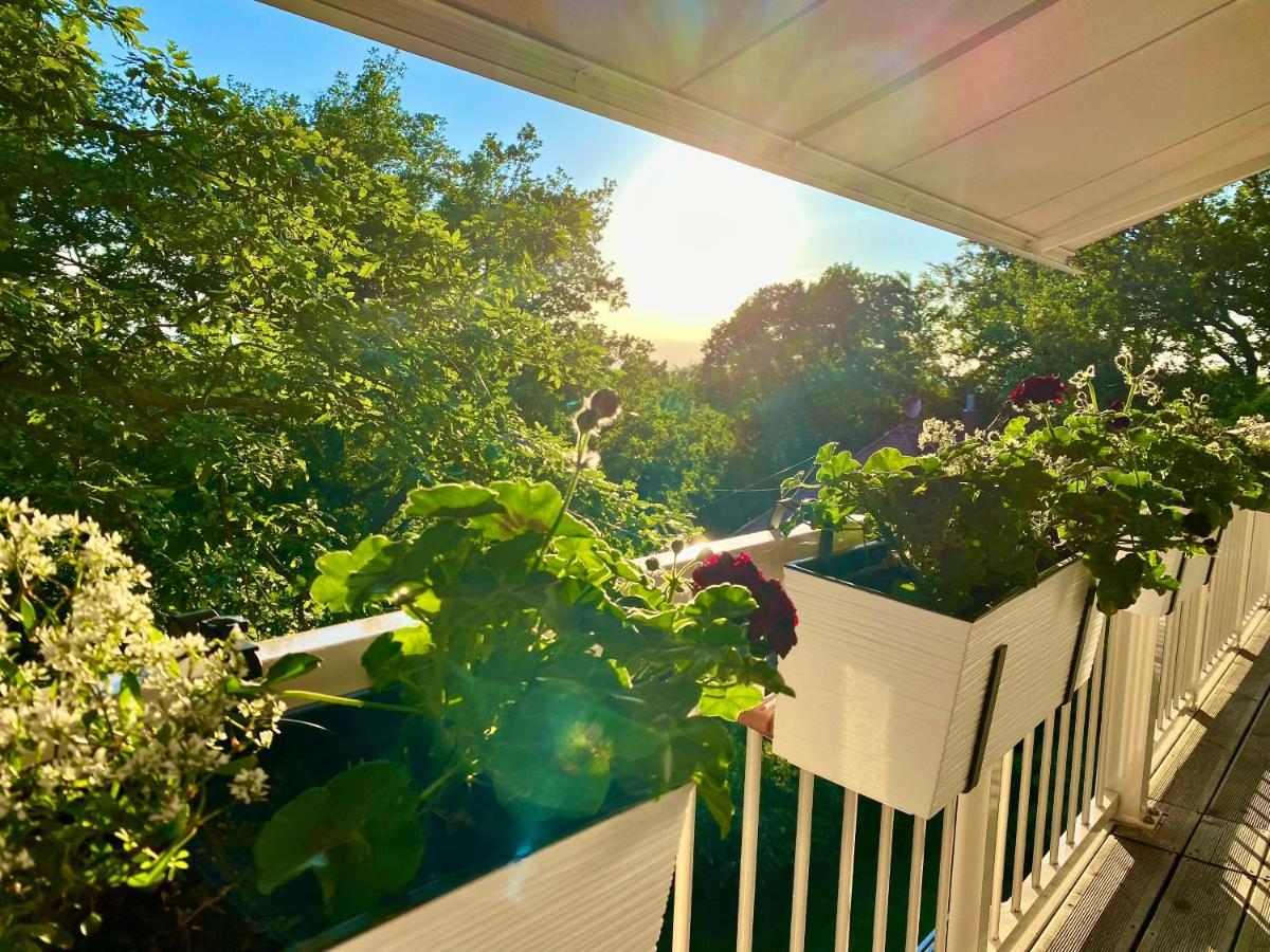 Ferienwohnung Natur Und Kunst Dresden Exteriör bild