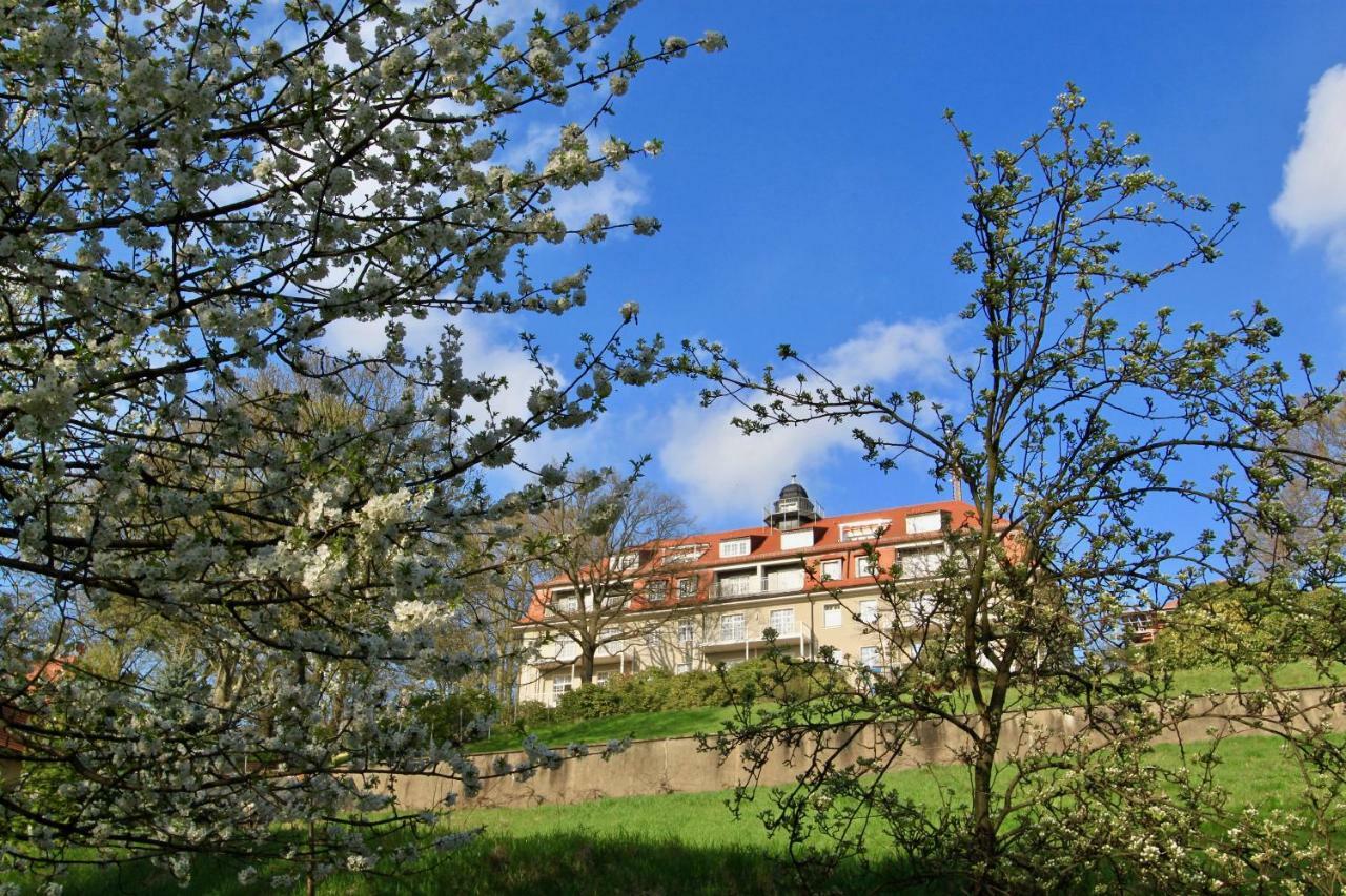 Ferienwohnung Natur Und Kunst Dresden Exteriör bild