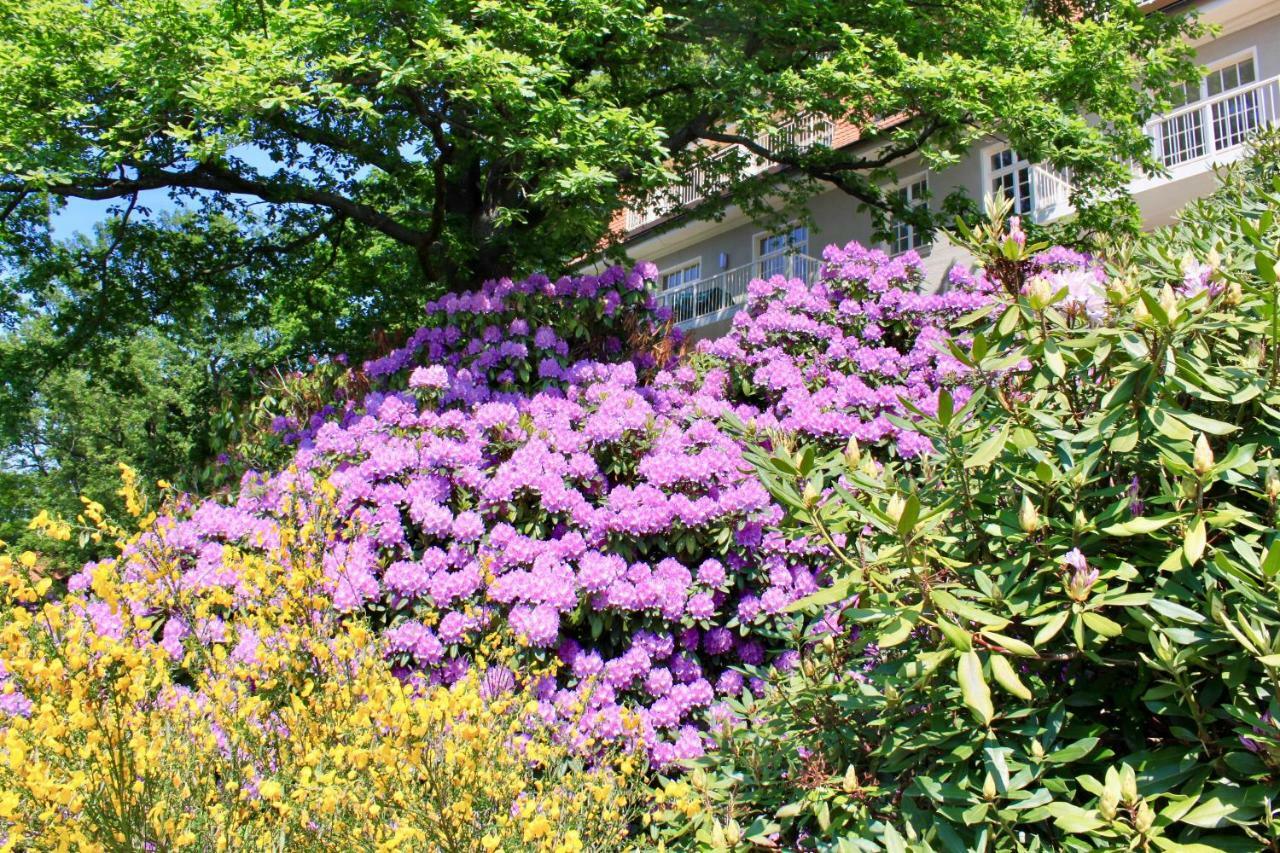 Ferienwohnung Natur Und Kunst Dresden Exteriör bild