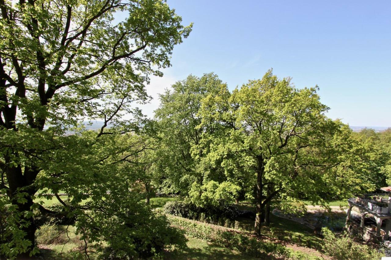 Ferienwohnung Natur Und Kunst Dresden Exteriör bild