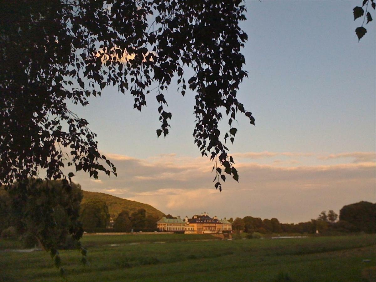 Ferienwohnung Natur Und Kunst Dresden Exteriör bild