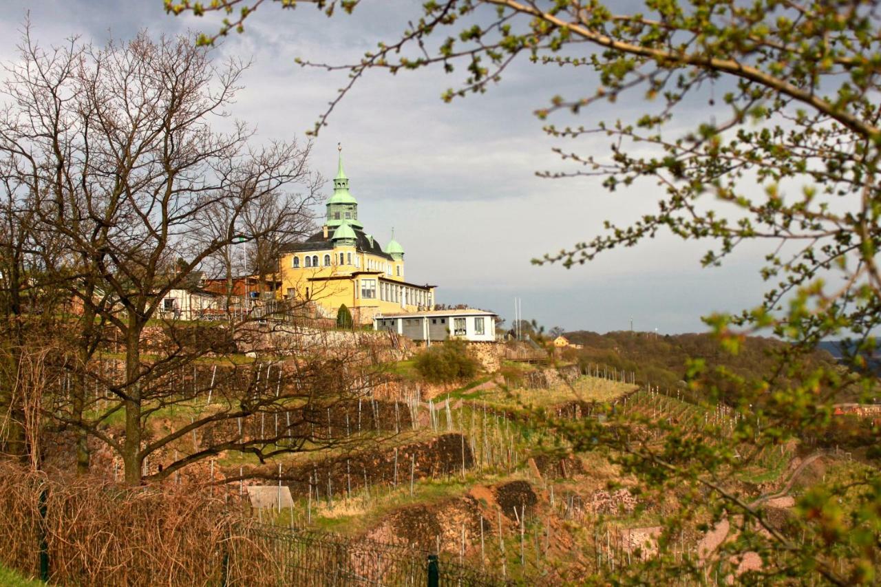 Ferienwohnung Natur Und Kunst Dresden Exteriör bild